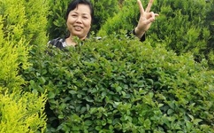 被六个男人躁J到一夜同性